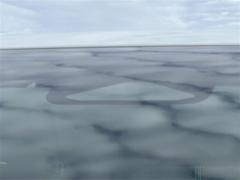 ھﳲڸ֥졼۾ͷڸ֥졼դ졢μ֤˾ͤˤʤäݤ˼ưǥ֥졼ưͤﳲڸޤ 6