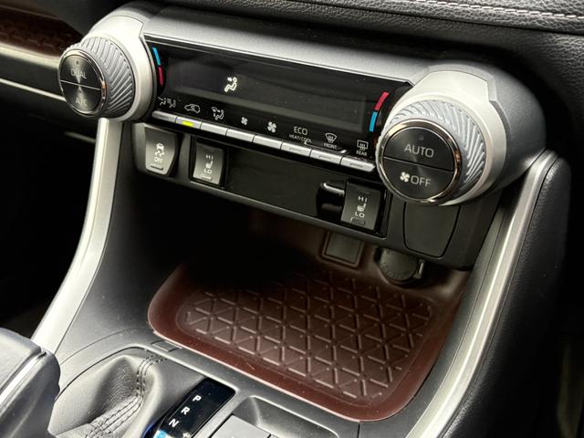 ＲＡＶ４ Ｇ　Ｚパッケージ　大型サンルーフ　黒レザーシート　パワーシート　シートヒーター　社外９型ナビ　フルセグＴＶ　ＣＤ　ＤＶＤ　ＢＴ　バックカメラ　ＥＴＣ　前後ドラレコ　ブラインドスポットモニタ　１９インチＡＷ　禁煙車（20枚目）
