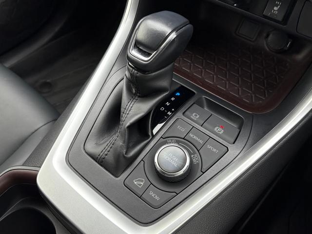 ＲＡＶ４ Ｇ　Ｚパッケージ　大型サンルーフ　黒レザーシート　パワーシート　シートヒーター　社外９型ナビ　フルセグＴＶ　ＣＤ　ＤＶＤ　ＢＴ　バックカメラ　ＥＴＣ　前後ドラレコ　ブラインドスポットモニタ　１９インチＡＷ　禁煙車（22枚目）