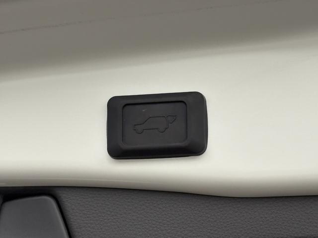 ＲＡＶ４ Ｇ　Ｚパッケージ　大型サンルーフ　黒レザーシート　パワーシート　シートヒーター　社外９型ナビ　フルセグＴＶ　ＣＤ　ＤＶＤ　ＢＴ　バックカメラ　ＥＴＣ　前後ドラレコ　ブラインドスポットモニタ　１９インチＡＷ　禁煙車（31枚目）