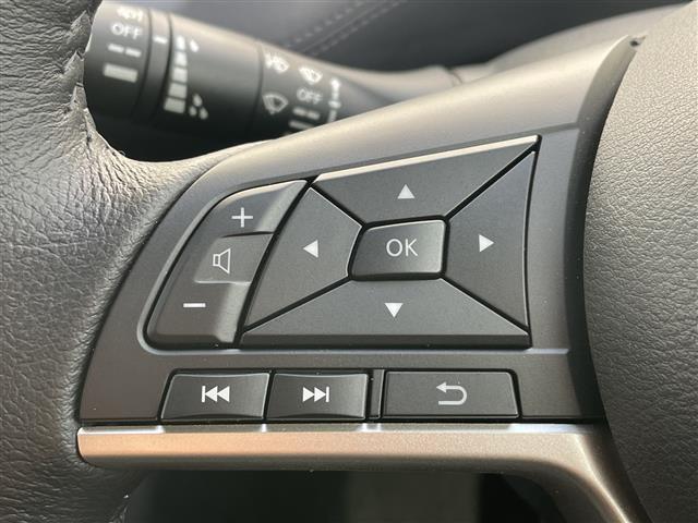 セレナ ハイウェイスターV セーフティパックB/外ディスプレイオーディオ/CD/DVD/SD/iPod/BT/ETC/バックカメラ/全周囲カメラ/両側パワースライドドア衝突軽減ブレ―キ/前後コーナーセンサー/ドアバイザー/(25枚目)