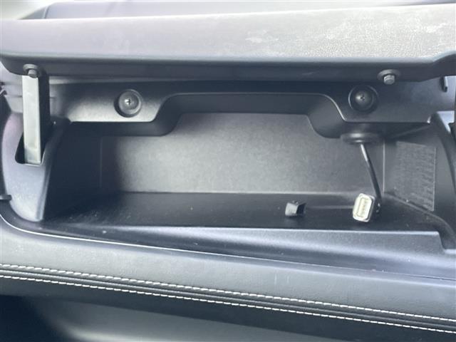 セレナ ハイウェイスター Vセレクション ETC/バックカメラ/全周囲カメラ/プロパイロット/クルーズコントロール/両側パワースライド/衝突軽減ブレ―キ/ドライブレコーダー/オートライト/アイドリングストップ/デジタルインナーミラー(16枚目)