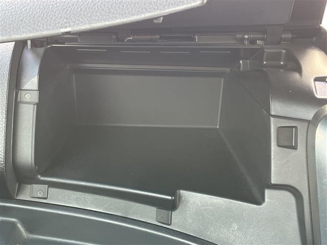 スペーシアカスタム XS 社外ナビ/フルセグ/Bluetooth/両側パワースライドドア/フォグランプ/プッシュスタート/オーバーヘッドコンソール/フロアマット/ETC(15枚目)