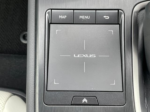 ＵＸ ＵＸ２００　Ｆスポーツ　／ＬｅｘｕｓＳａｆｔｅｙＳｙｓｔｅｍ／ブラインドスポットモニター／サンルーフ／１０．２インチ／純正ＳＤメモリナビ／ＣＤ／ＤＶＤ／パワーバックドア／バックカメラ／ビルトインＥＴＣ２．０／純正ドラレコ（35枚目）