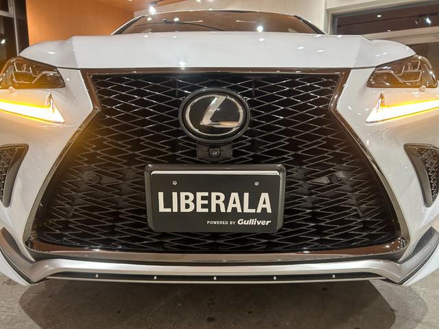 NX NX300 Fスポーツ ムーンルーフ ルーフレール 三眼フルLEDヘッドランプパーキングサポートブレーキ パノラミックビューモニター フロントスポイラー LexusSafetySystem+ Fスポーツ専用スポーツシート(48枚目)