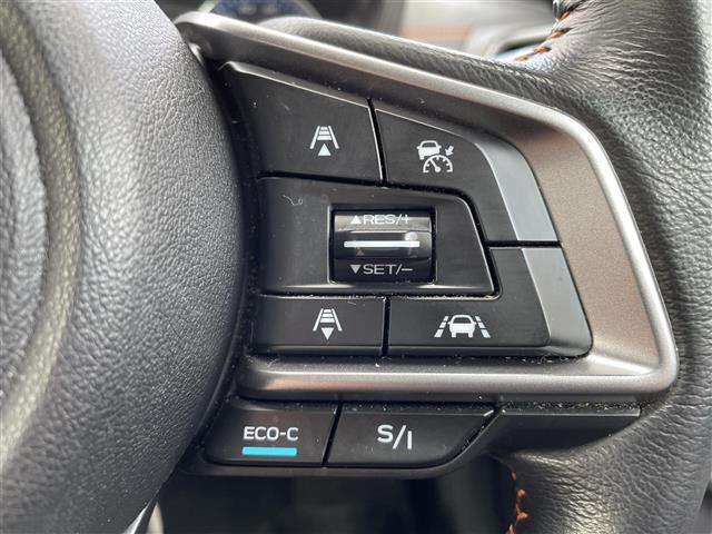 掲載箇所以外にご希望の写真がございましたら、お気軽にお問い合わせ下さい!メールや郵送でお送りさせていただきます。