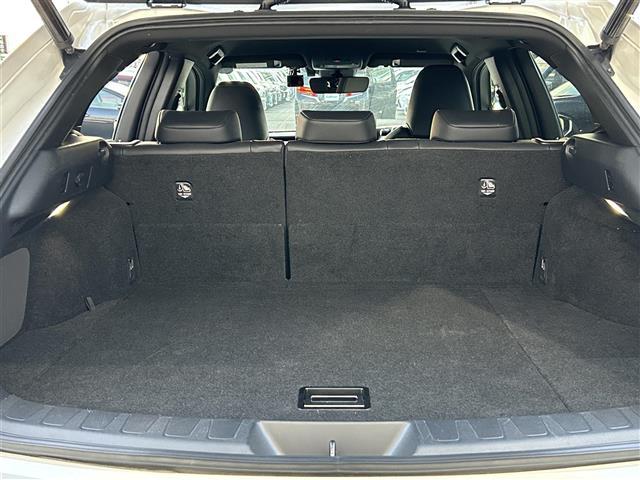 ＵＸ ＵＸ２５０ｈ　バージョンＬ　純正ナビ【フルセグＴＶ／ＦＭ・ＡＭ／ＢＴ】　プリクラッシュセーフティ　レーダークルーズコントロール　バックカメラ　衝突軽減　アイドリングストップ　ＤＮ席パワーシート　運転席ポジションメモリー（31枚目）