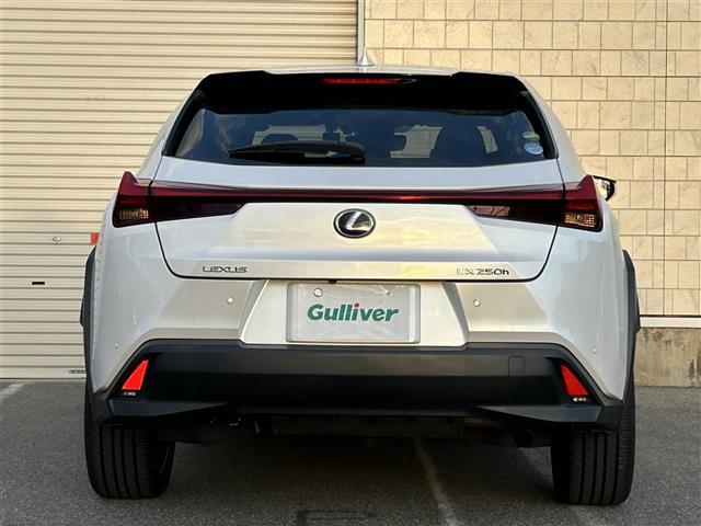 ＵＸ ＵＸ２５０ｈ　バージョンＬ　純正ナビ【フルセグＴＶ／ＦＭ・ＡＭ／ＢＴ】　プリクラッシュセーフティ　レーダークルーズコントロール　バックカメラ　衝突軽減　アイドリングストップ　ＤＮ席パワーシート　運転席ポジションメモリー（35枚目）