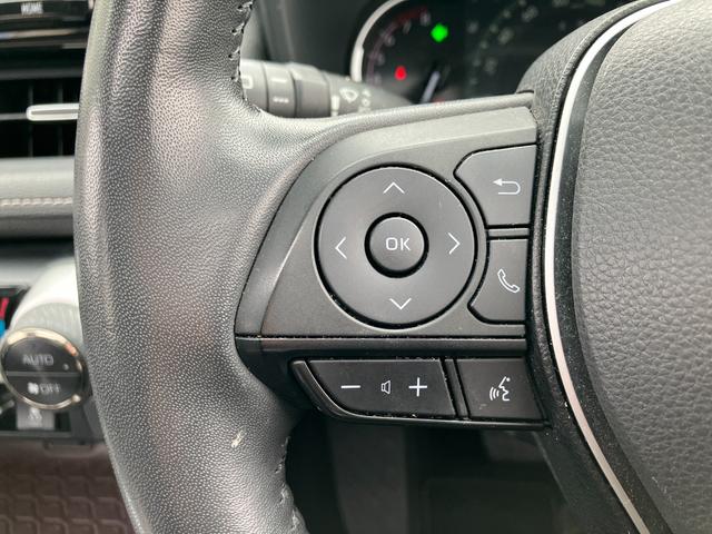 ＲＡＶ４ Ｇ　Ｚパッケージ　パノラマムーンルーフ　モデリスタエアロ　セーフティセンス　純正ナビ　フルセグＴＶ　バックカメラ　デジタルインナーミラー　ＬＥＤヘッドライト　クリアランスソナー　ブラインドスポットモニター（29枚目）