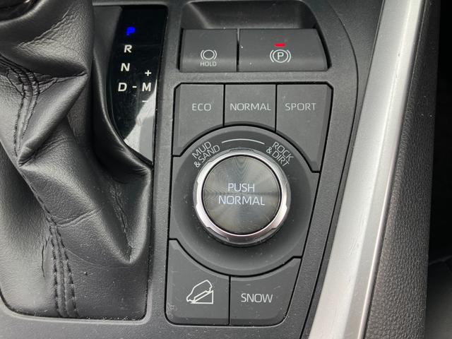 ＲＡＶ４ Ｇ　Ｚパッケージ　パノラマムーンルーフ　モデリスタエアロ　セーフティセンス　純正ナビ　フルセグＴＶ　バックカメラ　デジタルインナーミラー　ＬＥＤヘッドライト　クリアランスソナー　ブラインドスポットモニター（54枚目）