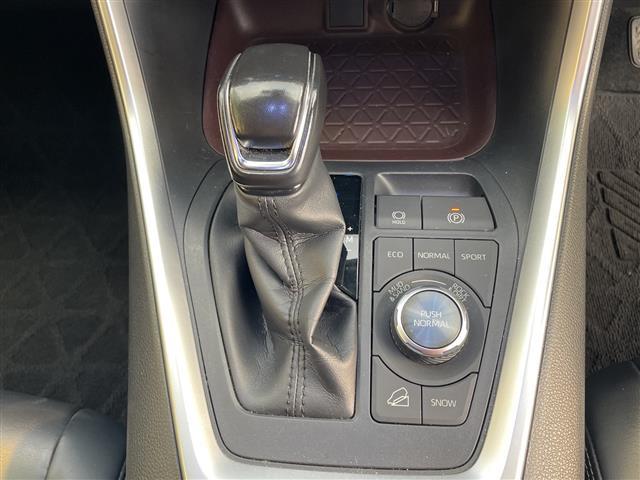 RAV4 G Zパッケージ TRDエアロ、パノラマムーンルーフ、純正メモリナビ(フルセグTV/DVD/CD/Bluetooth)ローダウン、ドライブレコーダー、電動リアゲート、ETC、デジタルインナーミラー(9枚目)