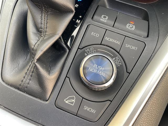 RAV4 G Zパッケージ TRDエアロ、パノラマムーンルーフ、純正メモリナビ(フルセグTV/DVD/CD/Bluetooth)ローダウン、ドライブレコーダー、電動リアゲート、ETC、デジタルインナーミラー(10枚目)