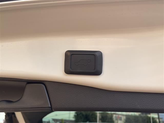 RAV4 G Zパッケージ TRDエアロ、パノラマムーンルーフ、純正メモリナビ(フルセグTV/DVD/CD/Bluetooth)ローダウン、ドライブレコーダー、電動リアゲート、ETC、デジタルインナーミラー(28枚目)