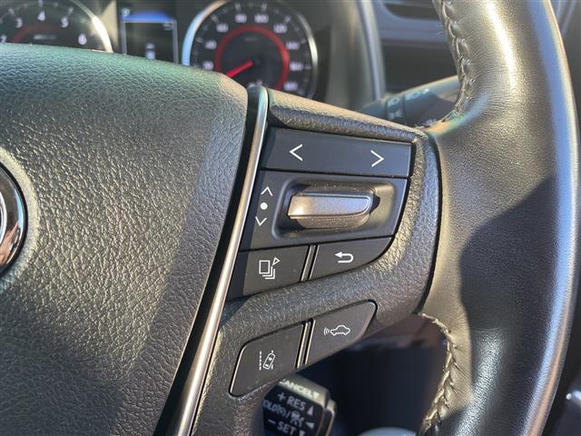 ヴェルファイア ２．５Ｚ　Ｇエディション　メモリナビフルセグテレビバックカメラフリップダウンモニターウィンカーミラークルーズコントロール両側パワースライドドアＥＴＣパワーバックドアレザーシートパワーシートシートヒーター（38枚目）