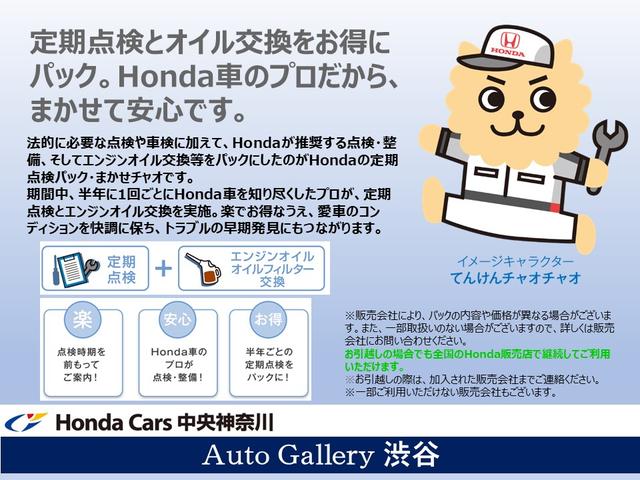 Ｓ　ワンセグ付メモリーナビ　バックカメラ　ＥＴＣ　横滑り制御装置　オートライト　電動格納ドアミラー　盗難防止システム　スマートキー　オートエアコン　フォグライト　ドアバイザー　ホンダディーラー保証(49枚目)