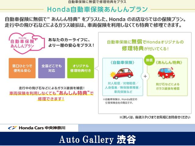 １５Ｓプロアクティブ　衝突軽減ブレーキ　横滑り制御装置　サイドエアバッグ　シートヒーター　クルーズコントロール　ドライブレコーダー　アイドリングストップ　フルセグ付純正ナビ　ＥＴＣ　マルチビューカメラ　ホンダディーラー保証(53枚目)