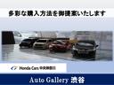 ＦＡ　衝突軽減ブレーキ　ワンセグ付パナソニック製ナビ　ＥＴＣ　オートライト　ヘッドライトアジャスター　電動格納ドアミラー　キーレスエントリー　ドアバイザー　マニュアルエアコン　ホンダディーラー保証（49枚目）