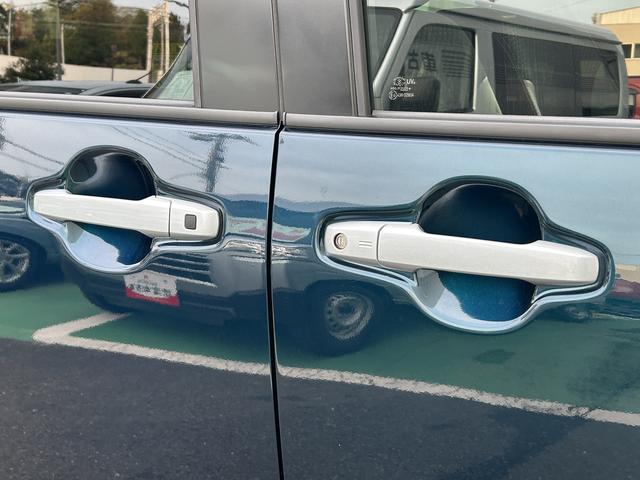 ドアハンドルの黒いボタンでドアロック・開閉ができます。