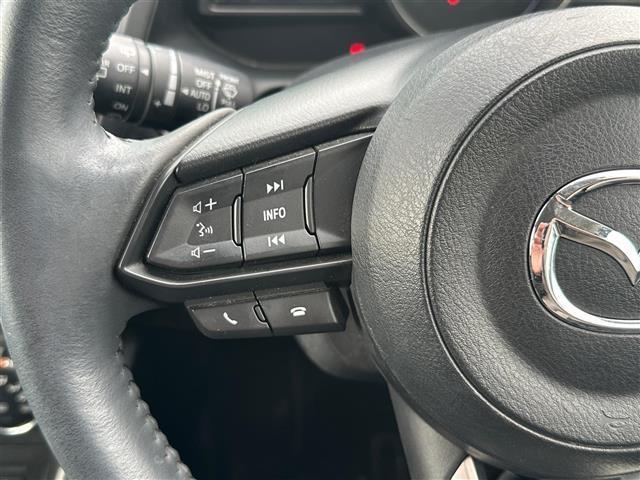 CX-3 15S ツーリング ワンオーナー BOSEサウンドシステム 360度ビューモニター パーキングセンサー CD/DVD/フルセグTV 純正ナビ 衝突軽減ブレーキ BSM 車線逸脱警報システム 電動パーキングブレーキ LED(21枚目)