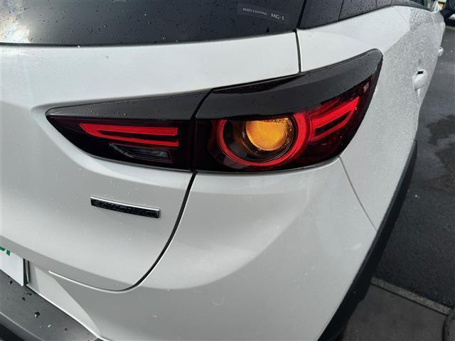 CX-3 15S ツーリング ワンオーナー BOSEサウンドシステム 360度ビューモニター パーキングセンサー CD/DVD/フルセグTV 純正ナビ 衝突軽減ブレーキ BSM 車線逸脱警報システム 電動パーキングブレーキ LED(40枚目)