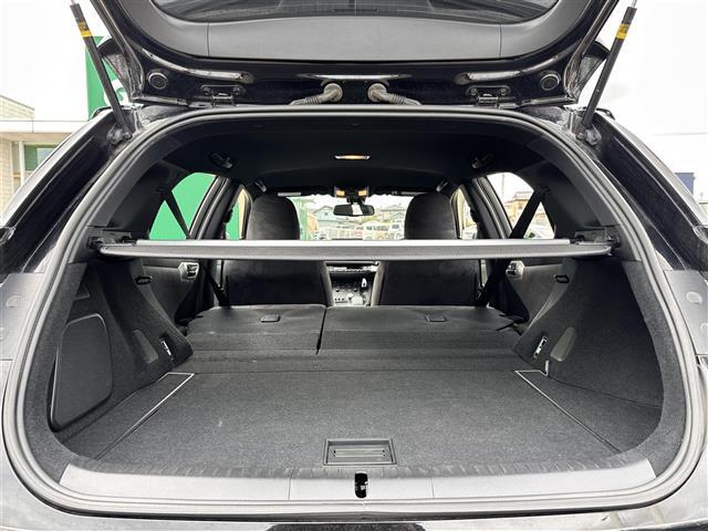 CT CT200h Fスポーツ 後期型ヘッドライト 純正メーカーHDDナビ CD DVD MSV USB AUX フルセグTV バックカメラ 純正17インチAW クルーズコントロール シートヒーター シートリフター スマートキー(16枚目)