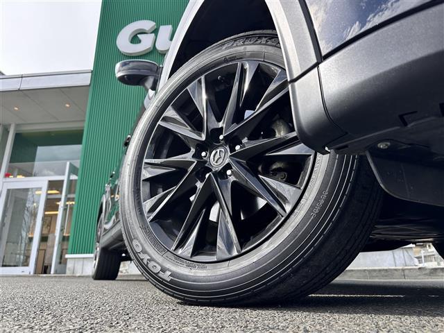 CX-8 XD ブラックトーンエディション ワンオーナー 7人乗り BOSEサウンドシステム レーダークルーズコントロール BSM 360度ビューモニター マツダコネクトナビ ETC 電動リアゲート シートヒーター パワーシート LEDライト(17枚目)