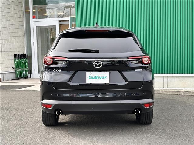 CX-8 XD ブラックトーンエディション ワンオーナー 7人乗り BOSEサウンドシステム レーダークルーズコントロール BSM 360度ビューモニター マツダコネクトナビ ETC 電動リアゲート シートヒーター パワーシート LEDライト(37枚目)