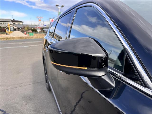 CX-8 XD ブラックトーンエディション ワンオーナー 7人乗り BOSEサウンドシステム レーダークルーズコントロール BSM 360度ビューモニター マツダコネクトナビ ETC 電動リアゲート シートヒーター パワーシート LEDライト(39枚目)