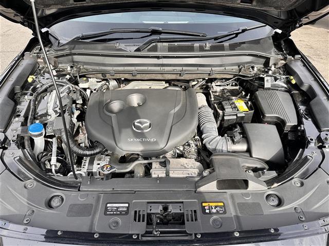 CX-8 XD ブラックトーンエディション ワンオーナー 7人乗り BOSEサウンドシステム レーダークルーズコントロール BSM 360度ビューモニター マツダコネクトナビ ETC 電動リアゲート シートヒーター パワーシート LEDライト(41枚目)