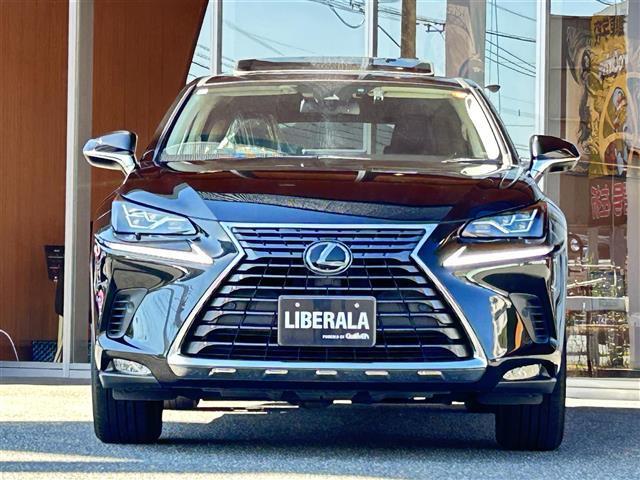 NX NX300 バージョンL 黒革 SR 純正ナビ/TV Bluetooth ACC/BSM 全席シートヒーター 前席エアシート 後席電動リクライニング ハンズフリーパワーバックドア ステアリングヒーター 純正18インチAW(35枚目)