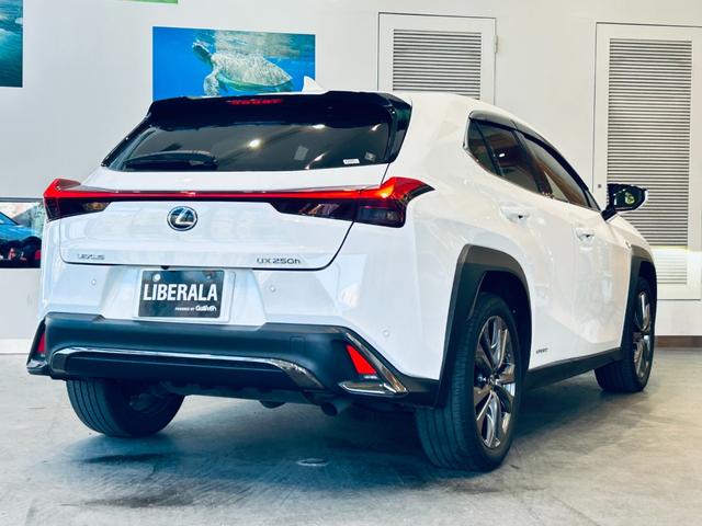 UX UX250h Fスポーツ 純正ナビ TV 360° ACC BSM 純正18インチAW LEDヘッドライト 電動リアゲート クリアランスソナー 革シート パワーシート Dシートメモリ シートヒーター ステアリングヒーター(7枚目)