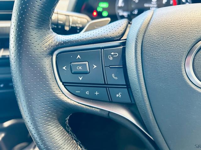 UX UX250h Fスポーツ 純正ナビ TV 360° ACC BSM 純正18インチAW LEDヘッドライト 電動リアゲート クリアランスソナー 革シート パワーシート Dシートメモリ シートヒーター ステアリングヒーター(57枚目)