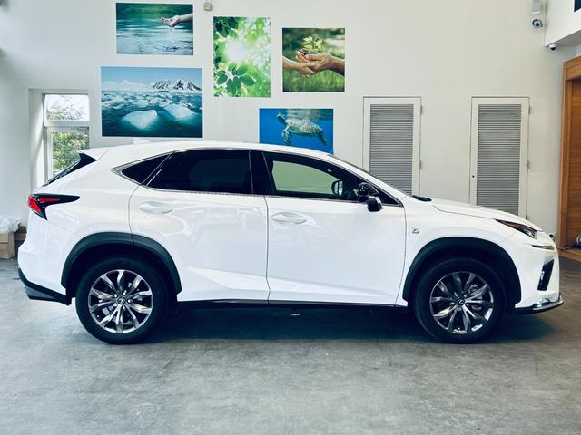 ＮＸ ＮＸ３００　Ｆスポーツ　サンルーフ　ＡＣＣ　純正ナビ　ＴＶ　３６０°　純正１８インチＡＷ　ＬＥＤヘッドライト　電動リアゲート　赤黒革　パワーシート　Ｄシートメモリ　エアシートヒーター　ステアリングヒーター　ＢＳＭ（6枚目）