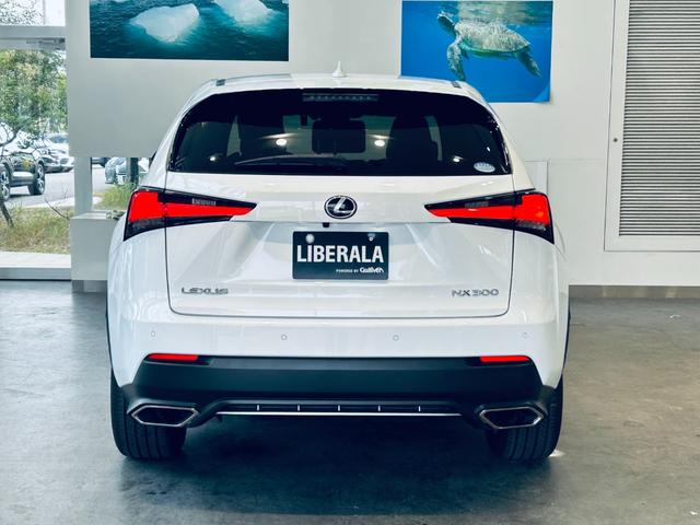 ＮＸ ＮＸ３００　Ｆスポーツ　サンルーフ　ＡＣＣ　純正ナビ　ＴＶ　３６０°　純正１８インチＡＷ　ＬＥＤヘッドライト　電動リアゲート　赤黒革　パワーシート　Ｄシートメモリ　エアシートヒーター　ステアリングヒーター　ＢＳＭ（8枚目）