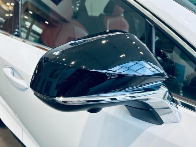 ＮＸ ＮＸ３００　Ｆスポーツ　サンルーフ　ＡＣＣ　純正ナビ　ＴＶ　３６０°　純正１８インチＡＷ　ＬＥＤヘッドライト　電動リアゲート　赤黒革　パワーシート　Ｄシートメモリ　エアシートヒーター　ステアリングヒーター　ＢＳＭ（13枚目）