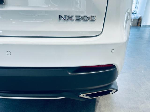 ＮＸ ＮＸ３００　Ｆスポーツ　サンルーフ　ＡＣＣ　純正ナビ　ＴＶ　３６０°　純正１８インチＡＷ　ＬＥＤヘッドライト　電動リアゲート　赤黒革　パワーシート　Ｄシートメモリ　エアシートヒーター　ステアリングヒーター　ＢＳＭ（16枚目）