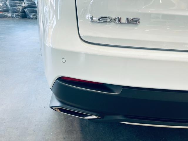 ＮＸ ＮＸ３００　Ｆスポーツ　サンルーフ　ＡＣＣ　純正ナビ　ＴＶ　３６０°　純正１８インチＡＷ　ＬＥＤヘッドライト　電動リアゲート　赤黒革　パワーシート　Ｄシートメモリ　エアシートヒーター　ステアリングヒーター　ＢＳＭ（17枚目）