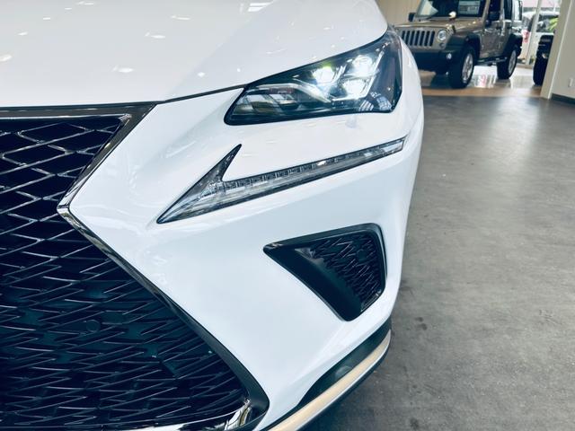 ＮＸ ＮＸ３００　Ｆスポーツ　サンルーフ　ＡＣＣ　純正ナビ　ＴＶ　３６０°　純正１８インチＡＷ　ＬＥＤヘッドライト　電動リアゲート　赤黒革　パワーシート　Ｄシートメモリ　エアシートヒーター　ステアリングヒーター　ＢＳＭ（21枚目）