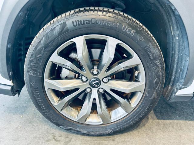 ＮＸ ＮＸ３００　Ｆスポーツ　サンルーフ　ＡＣＣ　純正ナビ　ＴＶ　３６０°　純正１８インチＡＷ　ＬＥＤヘッドライト　電動リアゲート　赤黒革　パワーシート　Ｄシートメモリ　エアシートヒーター　ステアリングヒーター　ＢＳＭ（28枚目）