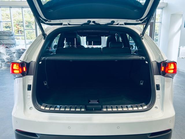 ＮＸ ＮＸ３００　Ｆスポーツ　サンルーフ　ＡＣＣ　純正ナビ　ＴＶ　３６０°　純正１８インチＡＷ　ＬＥＤヘッドライト　電動リアゲート　赤黒革　パワーシート　Ｄシートメモリ　エアシートヒーター　ステアリングヒーター　ＢＳＭ（50枚目）