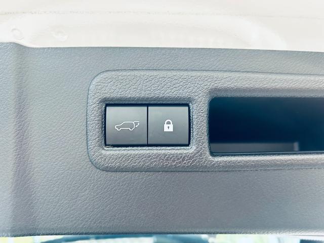 ＮＸ ＮＸ３００　Ｆスポーツ　サンルーフ　ＡＣＣ　純正ナビ　ＴＶ　３６０°　純正１８インチＡＷ　ＬＥＤヘッドライト　電動リアゲート　赤黒革　パワーシート　Ｄシートメモリ　エアシートヒーター　ステアリングヒーター　ＢＳＭ（51枚目）