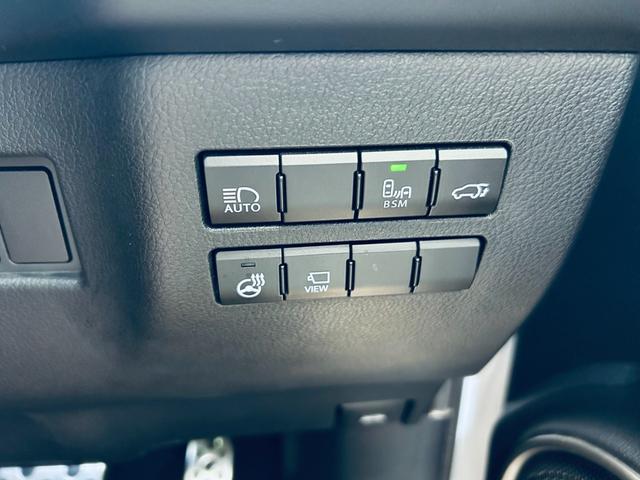 ＮＸ ＮＸ３００　Ｆスポーツ　サンルーフ　ＡＣＣ　純正ナビ　ＴＶ　３６０°　純正１８インチＡＷ　ＬＥＤヘッドライト　電動リアゲート　赤黒革　パワーシート　Ｄシートメモリ　エアシートヒーター　ステアリングヒーター　ＢＳＭ（56枚目）