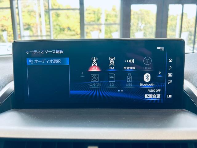 ＮＸ ＮＸ３００　Ｆスポーツ　サンルーフ　ＡＣＣ　純正ナビ　ＴＶ　３６０°　純正１８インチＡＷ　ＬＥＤヘッドライト　電動リアゲート　赤黒革　パワーシート　Ｄシートメモリ　エアシートヒーター　ステアリングヒーター　ＢＳＭ（61枚目）