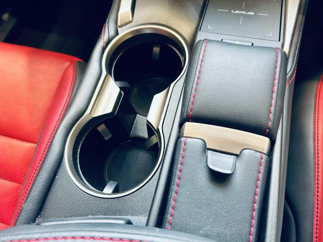 ＮＸ ＮＸ３００　Ｆスポーツ　サンルーフ　ＡＣＣ　純正ナビ　ＴＶ　３６０°　純正１８インチＡＷ　ＬＥＤヘッドライト　電動リアゲート　赤黒革　パワーシート　Ｄシートメモリ　エアシートヒーター　ステアリングヒーター　ＢＳＭ（70枚目）