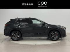 �Σ� �Σأ������衡�ƥ��ݡ��ġ��ʥӡ��ԣ֡����륳�󡡥쥶�� 0505964A20251122Y001 3