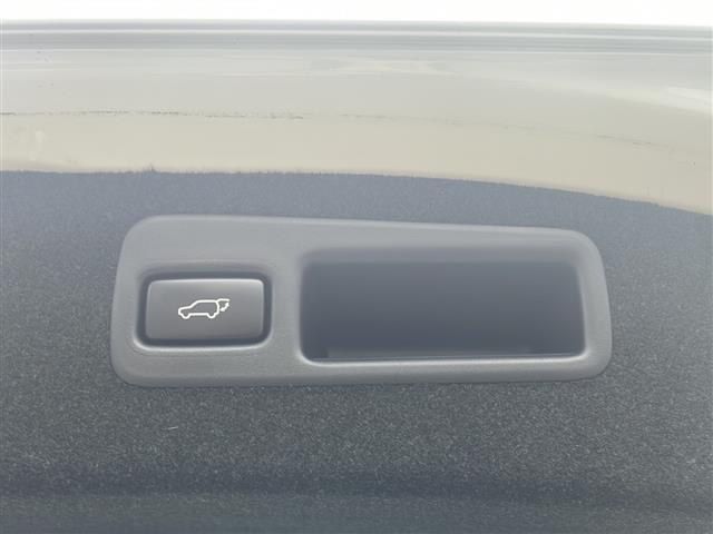 ハリアー 社外ナビ(フルセグTV/CD,DVD/BT)/バックカメラ/電動リアゲート/ドライブレコーダー/パワーシート/社外アルミホイール/ローダウン/オートライト/アイドリングストップ(26枚目)