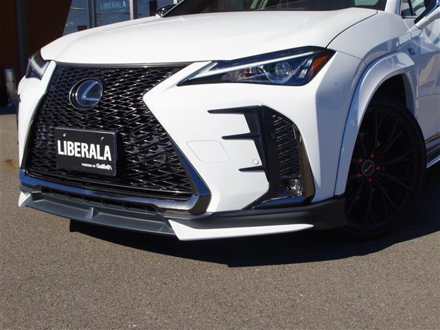 ＵＸ ＵＸ２００　Ｆスポーツ　ＴＲＤアンダーフルエアロ　レクサスセーフティ　衝突軽減ブレーキ　レーントレーシングアシスト　オートマチックハイビーム　レーダークルーズコントロール　ロードサインアシスト（14枚目）