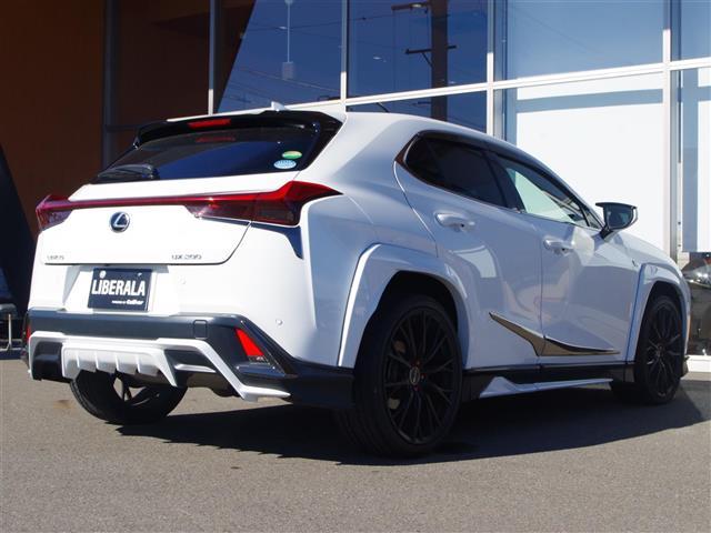 ＵＸ ＵＸ２００　Ｆスポーツ　ＴＲＤアンダーフルエアロ　レクサスセーフティ　衝突軽減ブレーキ　レーントレーシングアシスト　オートマチックハイビーム　レーダークルーズコントロール　ロードサインアシスト（17枚目）