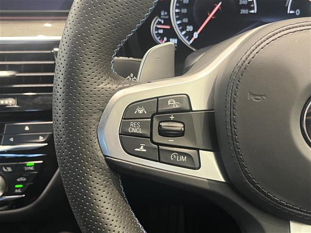 5シリーズ 523dツーリング Mスポーツ ハイラインパッケージ レザーシート イノベーションパッケージ ディスプレイキー 純正ナビ TV Bluetooth 全方位カメラ アンビエントライト アダプティブLEDヘッドライト(24枚目)