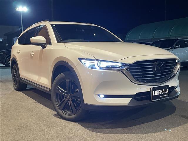 ���x���[���̓K���o�[�O���[�v�̂a�l�v�A�����Z�f�X�x���c�A�A�E�f�B�Ȃǂ̗A���Ԑ��X�ł��B